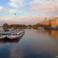 Alster Hamburg :: Nina Yudicheva