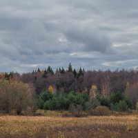 Осенний лес :: Сергей Цветков