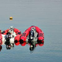 Улетай от них подальше, птица... :: Валерий Дворников