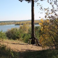 Прогулка по лесопарку :: Олег Афанасьевич Сергеев