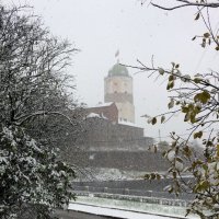 Первый снег в Выборге :: Ольга 