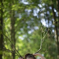 Почти лесной олень) :: Светлана Карнаух