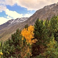 Осень в горах Кавказа :: Александр Бойченко