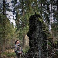 Встреча с лесным обитателем :: Валерий Талашов