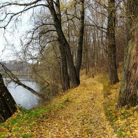 Смоленская осень. :: Милешкин Владимир Алексеевич 