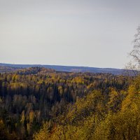 «В осеннем лесу». :: Александр Гладких