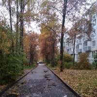Осень :: Галина 