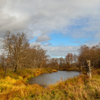 Осеннее озеро :: Сергей Цветков