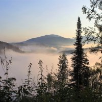 Утренний туман в долине :: Сергей Чиняев 