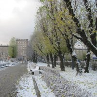 Первый снег :: Наталья Герасимова