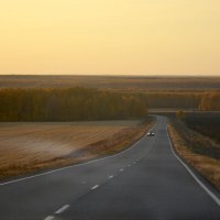 По дороге ДОМОЙ... :: Дмитрий Петренко