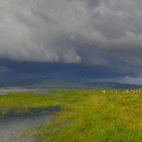Панорама грозового фронта :: Сергей Шаврин