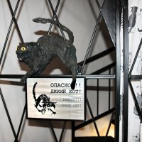 Murarium - выставка арт-коллекции кошек .  Зеленоградск . :: Liudmila LLF