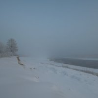 Морозный туман :: Олег Кулябин