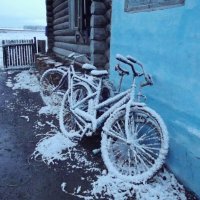 Встретили первый снег :: Светлана Рябова-Шатунова