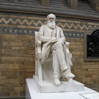 Памятник Чарльзу Дарвину в музее Естествознания :: Ольга 
