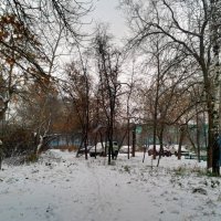 Первый снег. :: Николай Масляев