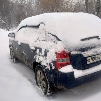 Апрельский снег... :: Дмитрий Петренко