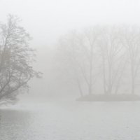 Туман! :: Ирина Олехнович