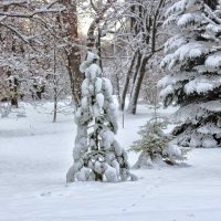 Первый снег первого ноября :: Nina Karyuk