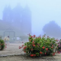 в тумане: замок Монтмирай :: Георгий А
