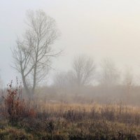 Сильный туман у поля.. :: Юрий Стародубцев