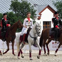 три богатыря, не коня :: Олег Лукьянов