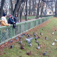 Птицы в Летнем саду. (Санкт-Петербург). :: Светлана Калмыкова