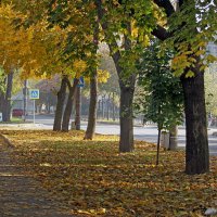 Осень на улицах города. :: barsuk lesnoi