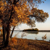 Осенние красоты Сырдарьи. :: Сергей Ермишкин