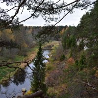 Река Дёржа в Тверской области. :: Марина Григорьева