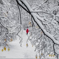 Первый снег :: Владимир Кочетков
