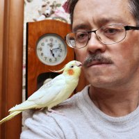 Я с моим храбрым попугаем Гришей. :: Сергей Пиголкин