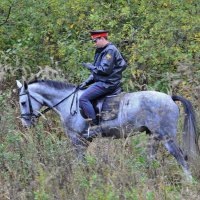 Будни конной полиции ... :: Константин Анисимов