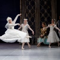 Russian ballet "Swan Lake" :: maxihelga ..............