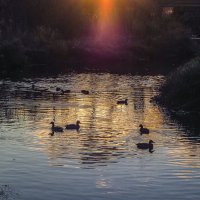 2.Осенний закат на реке Оккервиль :: Юрий Велицкий