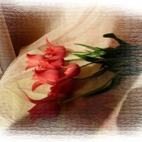 Композиция из красных тюльпанов на столе :: Лидия Бараблина