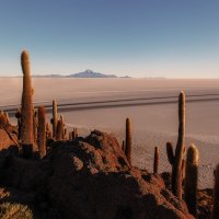 Остров Инкауаси... Боливия! :: Александр Вивчарик