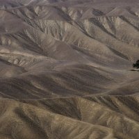 пустыня в Иране: хоть одно дерево есть ! :: Георгий А