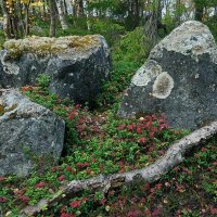 Осенний натюрморт :: Сергей Курников