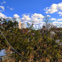Осень - вид с третьего этажа на Север :: Валерий Дворников