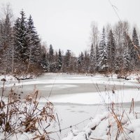 Октябрь :: Вадим Басов