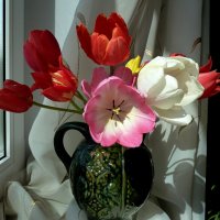 Букет майских тюльпанов в вазе на окне :: Лидия Бараблина
