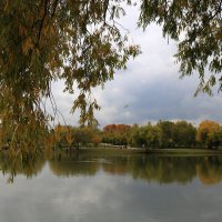 Осень на берегу пруда :: Галина Козлова 