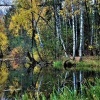 Осень — расцвет красоты природы в её увядании... :: Ольга Русанова (olg-rusanowa2010)