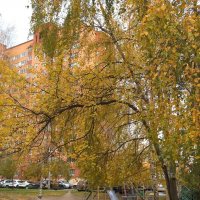 Осенью в моем городе :: Елена Семигина
