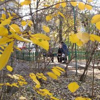 ...падают, падают листья, ну и пусть, зато прозрачней свет :: Нина Корешкова