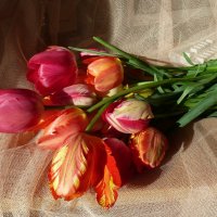 Букет майских тюльпанов на столе :: Лидия Бараблина