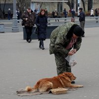 Объявлена голодовка! :: Татьяна Помогалова