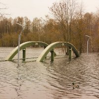 Осень затопленый мост :: Сергей Кочнев